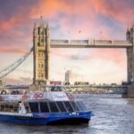 Thames City Cruise with Champagne Afternoon Tea