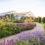 RHS Wisley, Woking, UK - Visit with Afternoon Tea